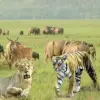 जिम कॉर्बेट नैशनल पार्क के विशेष तथ्य-
