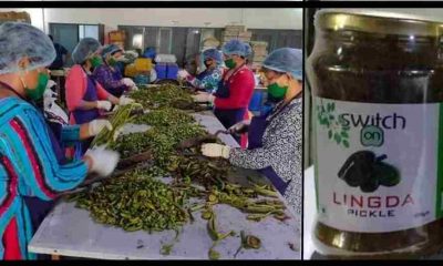 alt="uttarakhandi women made lingda pickle"
