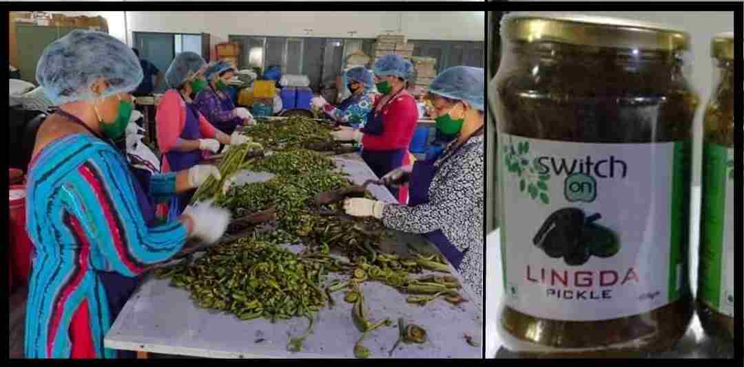 alt="uttarakhandi women made lingda pickle"