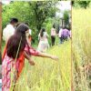DM Vandana Chauhan paddy crop in Rudraprayag Uttarakhand