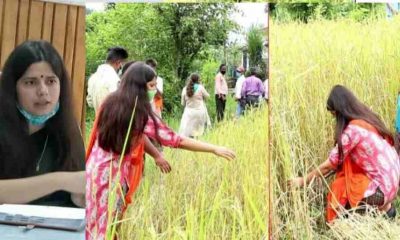 DM Vandana Chauhan paddy crop in Rudraprayag Uttarakhand