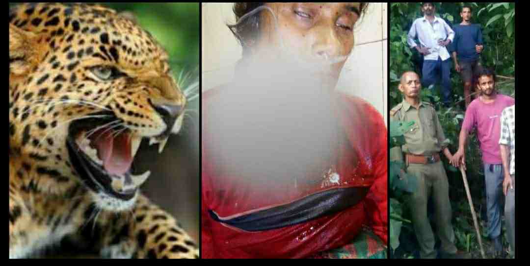 Uttarakhand Tendua Leopard Attack on women in Bhimtal Nainital