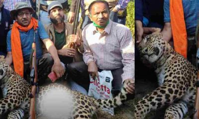 Man eating leopard led by the famous Hunter lakhpat Singh Rawat in almora