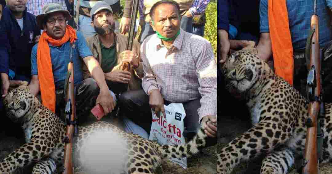 Man eating leopard led by the famous Hunter lakhpat Singh Rawat in almora