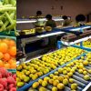 Uttarakhand: largest fruit processing unit to be set up in Ramgarh, fruit products will be launched directly in the market