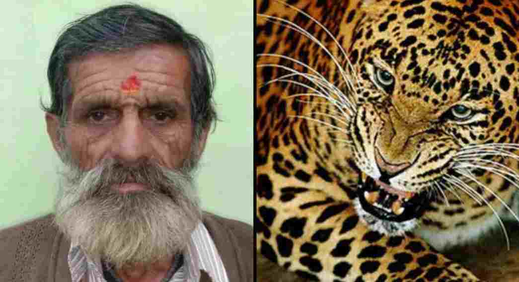Uttarakhand news: 60 years old ramesh dutt pant died due to Leopard attack in almora.
