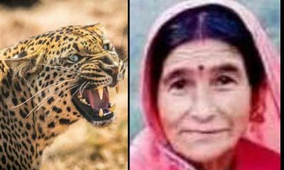 Uttarakhand News: Gaura devi from champawat fell into the ditch to escape the leopard, died on the spot