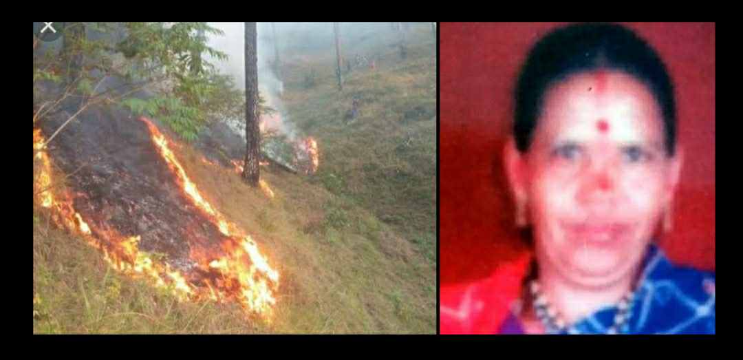 Uttarakhand: tragic incident in pithoragarh, badly burnt woman died due to forest fire