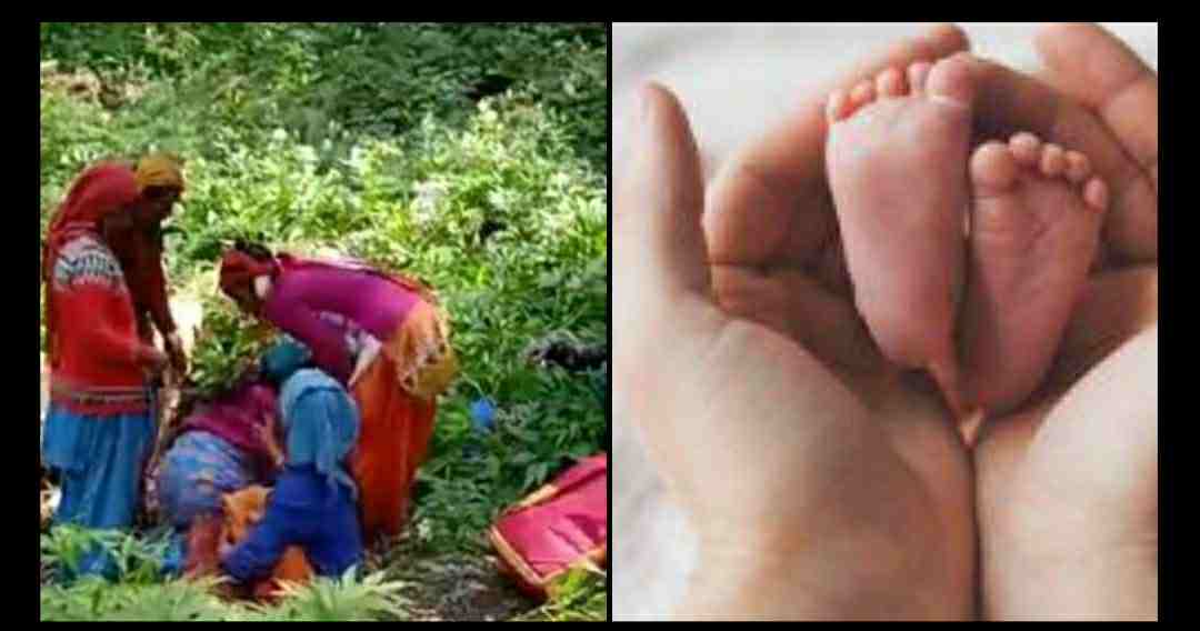 Uttarakhand news: bad seveices of medical in hills area, maternity gave birth to a child in the forest in chamoli.