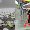 Uttarakhand news: weather Department issued alert of heavy rain and hailstorm to these 8 districts