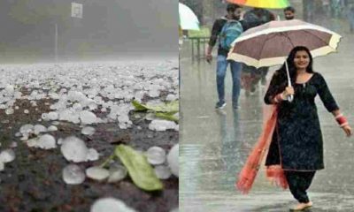 Uttarakhand news: weather Department issued alert of heavy rain and hailstorm to these 8 districts