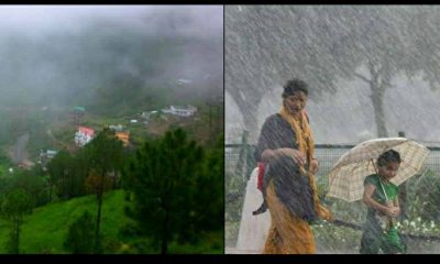 Monsoon reached Uttarakhand a week ago, broke 14-year record, rain will continue