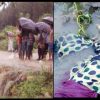 Uttarakhand news: women fall in gadhera of rikhnikhal block pauri block kotdwar dead body found in river