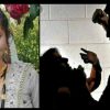 Uttarakhand news: kiran bohra murder case husband kuldeep bisht suspended from job in khetikhan CHAMPWAT