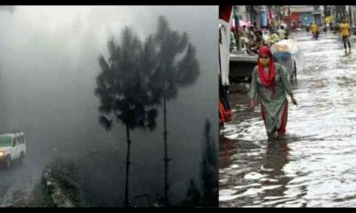 Uttarakhand weather news: rain forecast for 7 and 8 july in these districts with yellow alert
