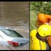 Uttarakhand road accident news: car drowned in river of rudraprayag district mother and daughter died on the spot
