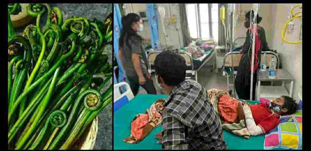 Uttarakhand news : champwat teenager dies due to eating lingra vegetable other family member admitted in hospital
