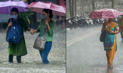 Uttarakhand news: weather forecast for 4 district of Uttarakhand till 14 July.