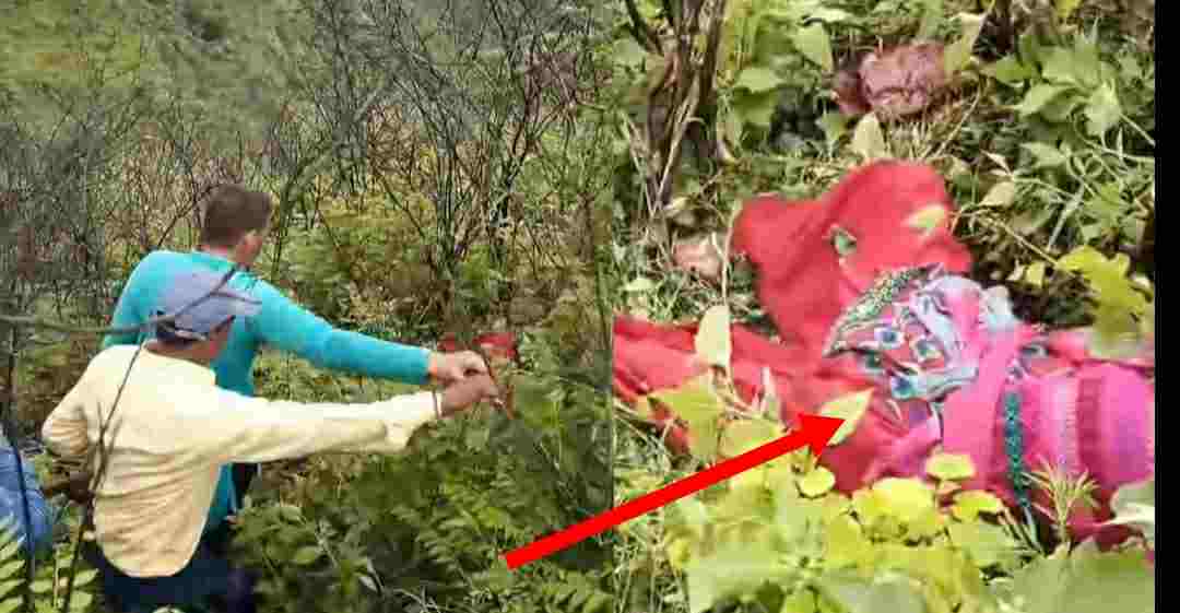 Uttarakhand news: woman died on the spot who went to the forest to graze the goat, due to Guldar Attack in tehri garhwal.