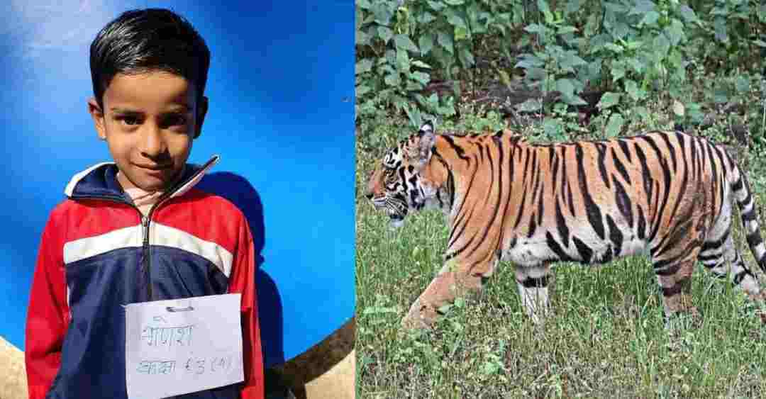 Uttarakhand news: 10 years old child gokul died due to Guldar Attack in gangolihat pithoragarh.