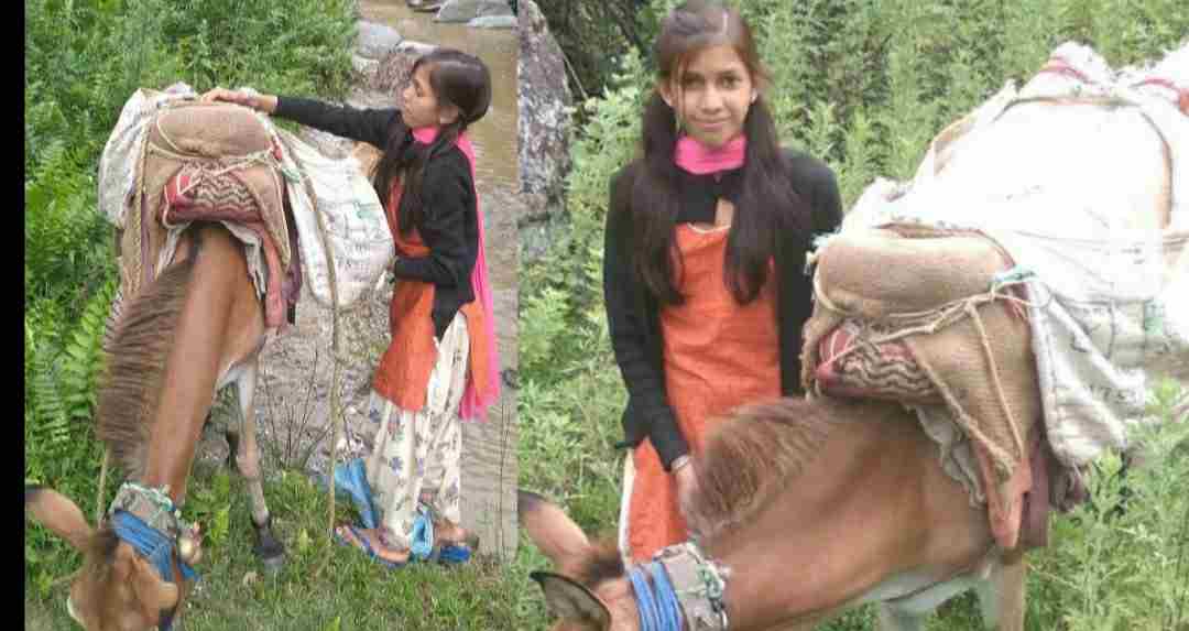 Uttarakhand news: Crisis on Shobha Bhatt studies due to sick parents in pati Champawat.