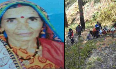 Uttarakhand news: heera devi who went to collect grass in the forest fell into a deep gorge, died on the spot in Bageshwar.