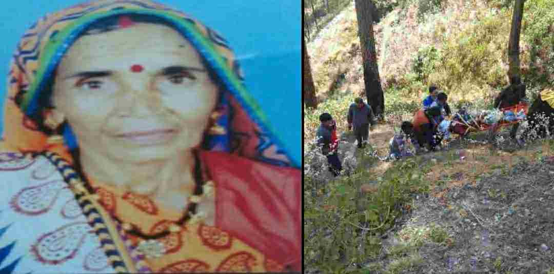 Uttarakhand news: heera devi who went to collect grass in the forest fell into a deep gorge, died on the spot in Bageshwar.
