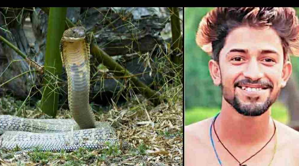 Uttarakhand news: Snake bite to amit ojha of tanakpur.