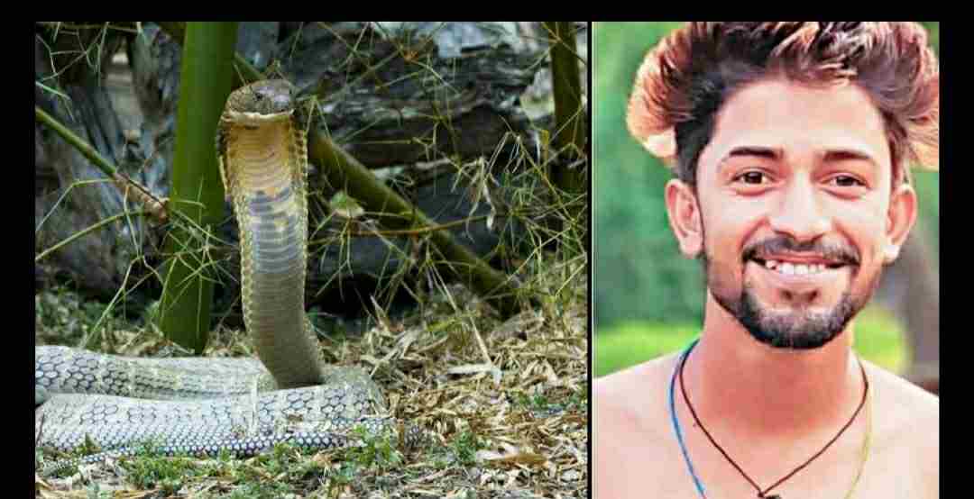 Uttarakhand news: Snake bite to amit ojha of tanakpur.