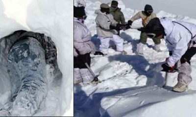 Uttarakhand news: Forest department found two bodies buried in snow in Auli.