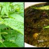 Uttarakhand bichhu GHAS sishun kandali vegitable and used as medicine