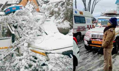 Uttarakhand news: big tree fell on top of a vehicle full of passengers in almora and nainital, traffic stalled due to snowfall.