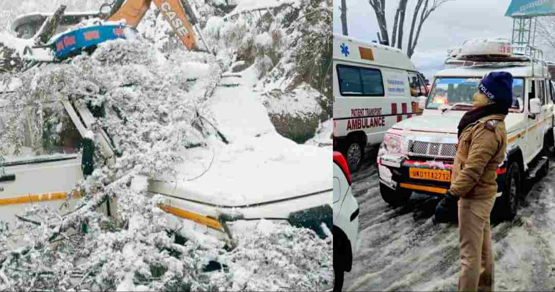 Uttarakhand news: big tree fell on top of a vehicle full of passengers in almora and nainital, traffic stalled due to snowfall.