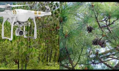 Uttarakhand: now drone camera will be installed in the forest of Bageshwar, they will be closely monitored. Bageshwar Forest Drone Camera.