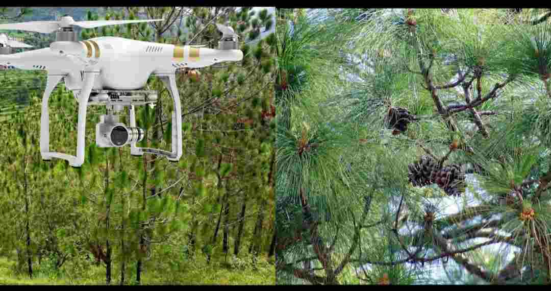 Uttarakhand: now drone camera will be installed in the forest of Bageshwar, they will be closely monitored. Bageshwar Forest Drone Camera.