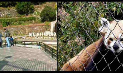 Nainital Zoo.jpg