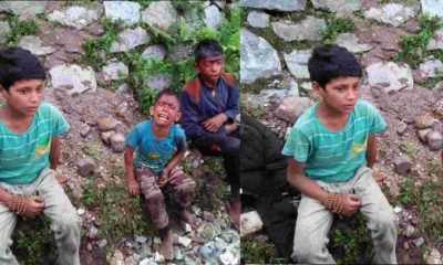Uttarakhand news: road accident in uttarakashi, 14-year-old teenager died on the spot, 4 including 3 children injured.