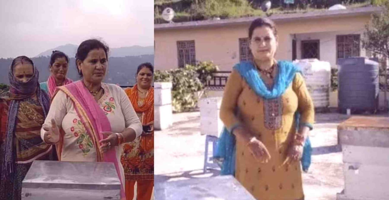 Uttarakhand news: Almora Kamala bhandari honey self employment news