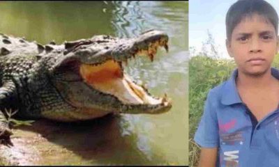 Uttarakhand news: Crocodile swallowed child in khatima body found in UP attack