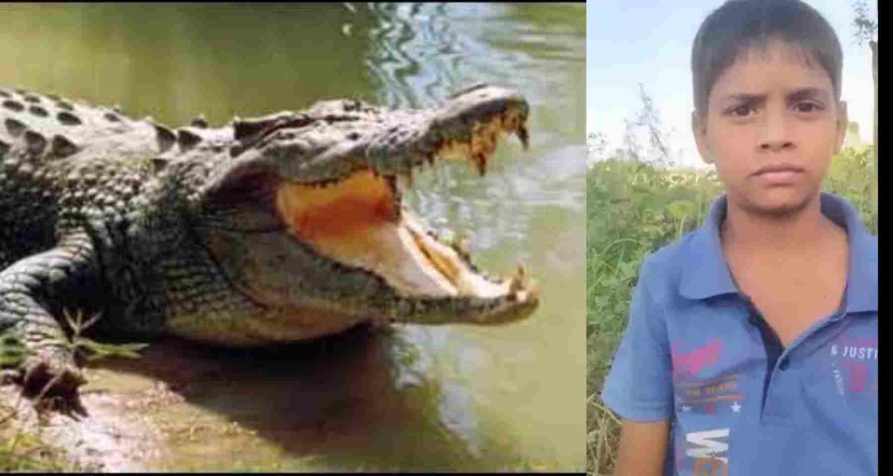 Uttarakhand news: Crocodile swallowed child in khatima body found in UP attack