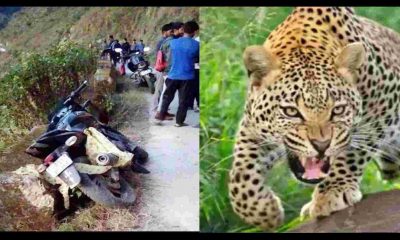 Uttarakhand news: Leopard attack swooped on bike riding youth, dragged away in CHAMPAWAT
