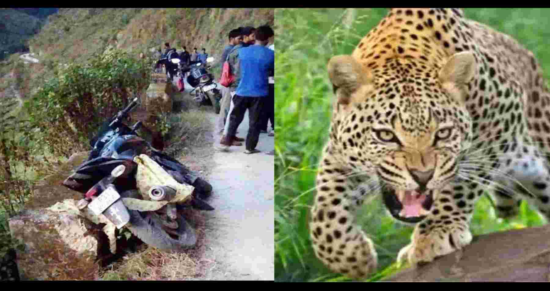 Uttarakhand news: Leopard attack swooped on bike riding youth, dragged away in CHAMPAWAT