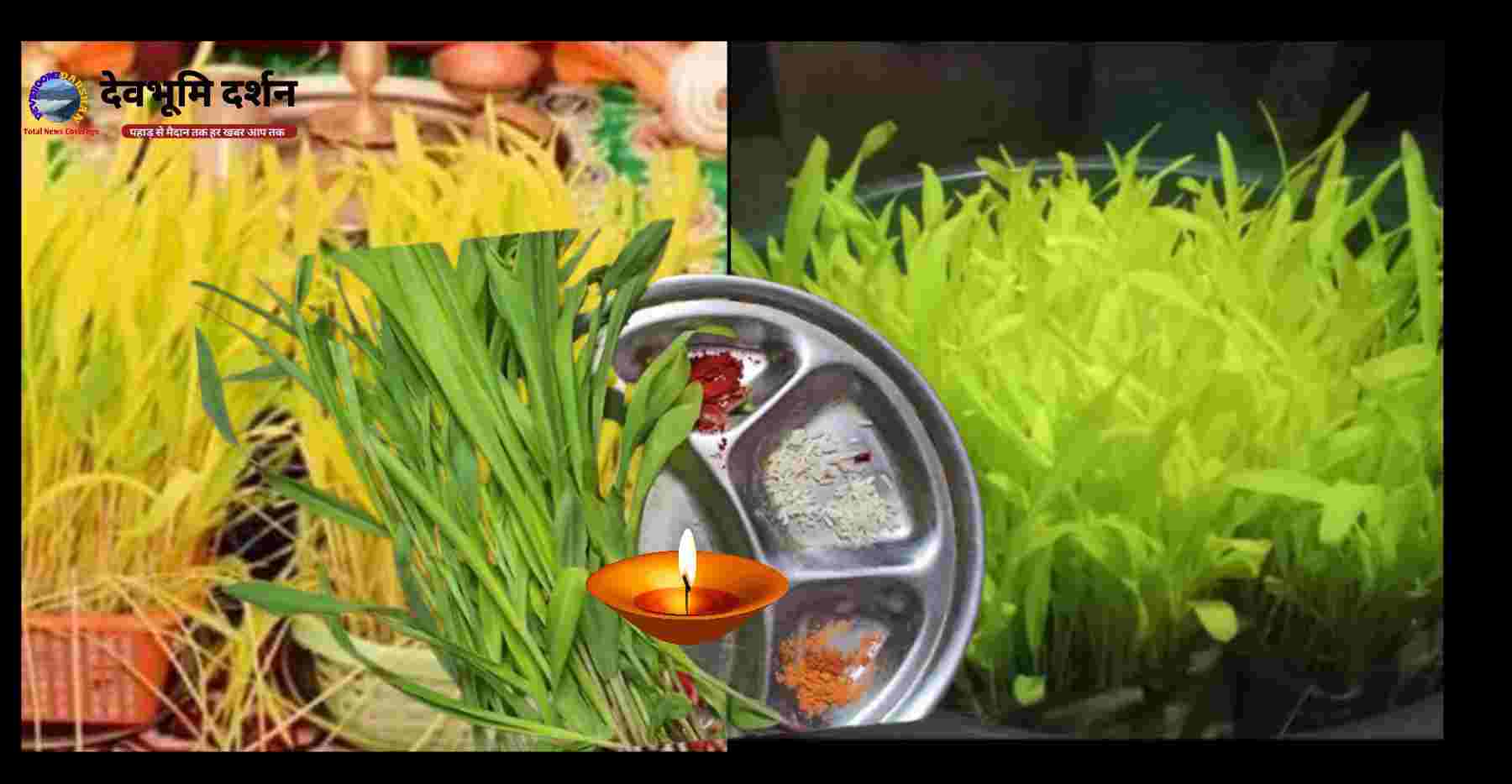 Harela 2022: Uttarakhand folk festival Harela gives the message of environmental protection and greenery