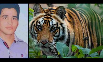 Uttarakhand news: tiger Attack in Ramnagar Jim Corbett National Park