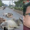 Uttarakhand: Tankapur Car accident engineer dies on the spot after colliding with a stray animal on the road