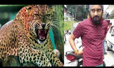 Uttarakhand news: leopard tendua attack in ranikhet Almora district on bike rider