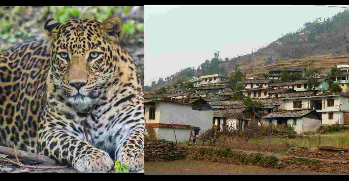 Uttarakhand: Guldar fear in pauri garhwal ,villagers leave his home and village