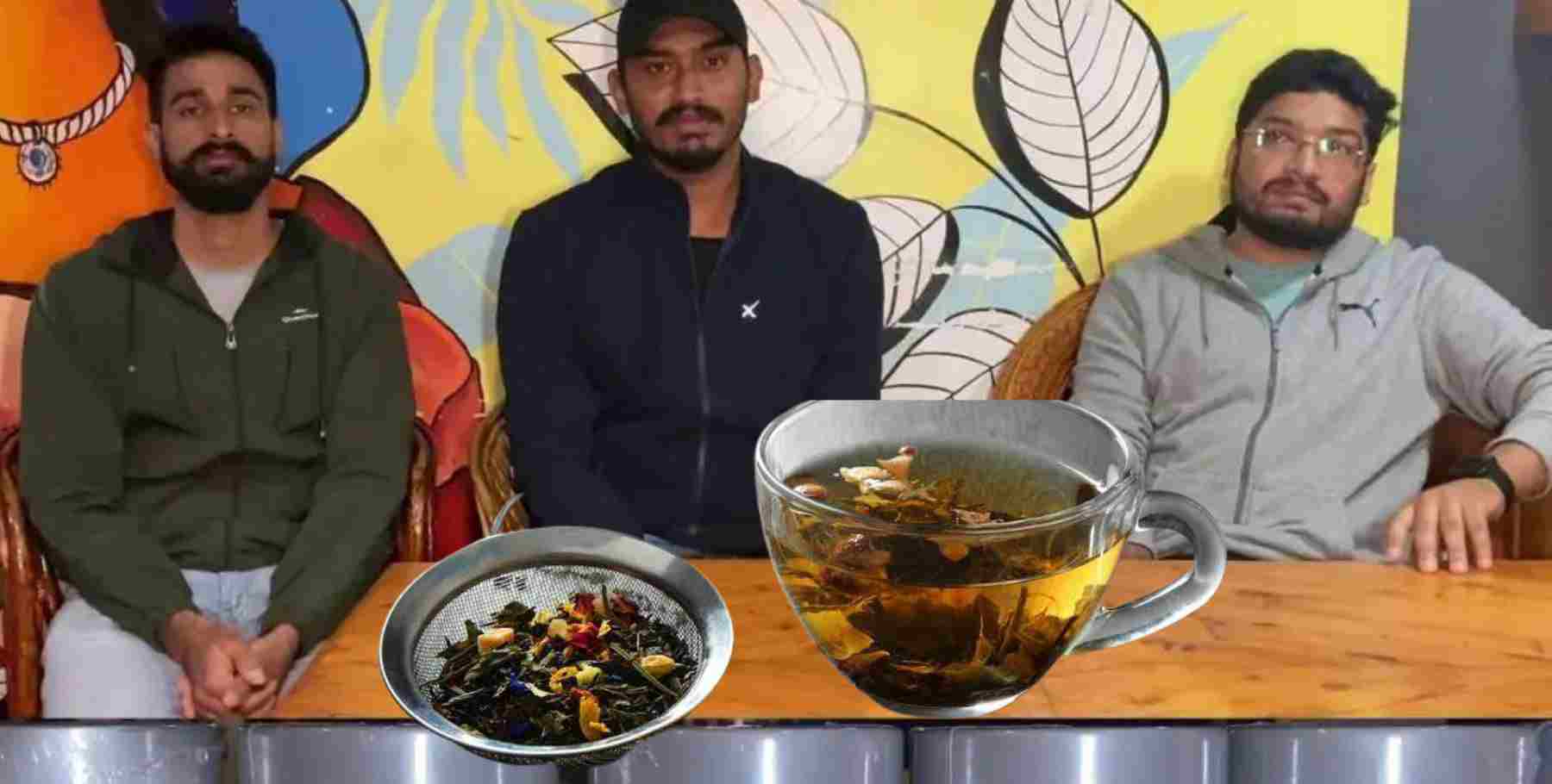 Uttarakhand news: Pithoragarh Tea self employment by three brothers