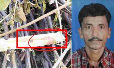 Uttarakhand news: again Sensational incident in Haldwani, Nain Ram murder was beaten to death with a bat. Haldwani murder news