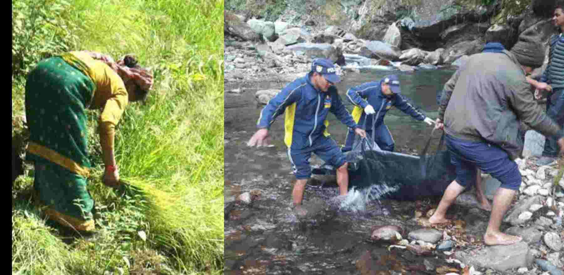 Uttarakhand news today: Pinki Devi of Rudraprayag who went to mow the forest, died after falling in a ditch. Rudraprayag News Today